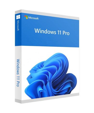 Windows 11 PRO