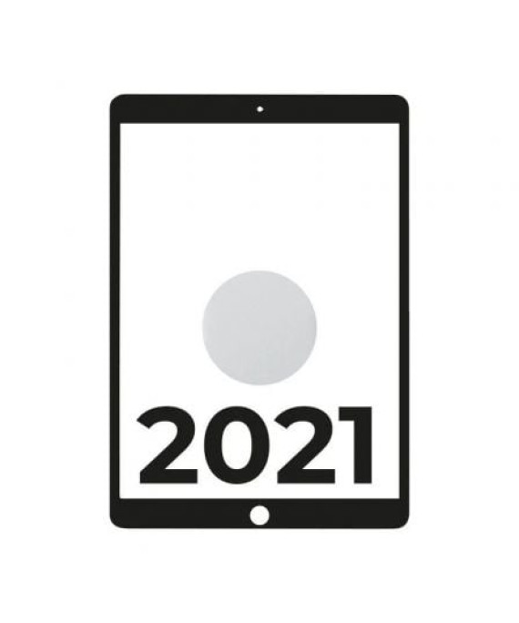 Apple iPad 10.2 2021 9ª célula WiFi/ A13 Bionic/ 64 GB/ Prata - MK493TY/A